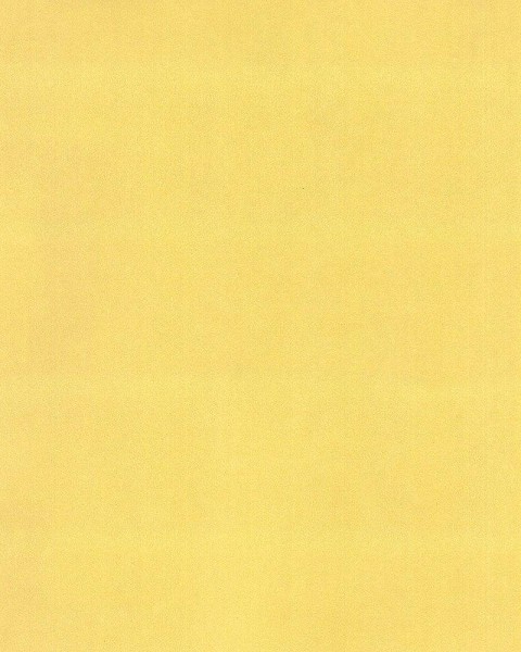 Hattan Palette | 14 Yellow